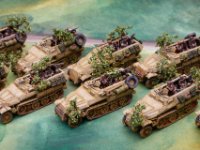 fow germans  (7 of 15)